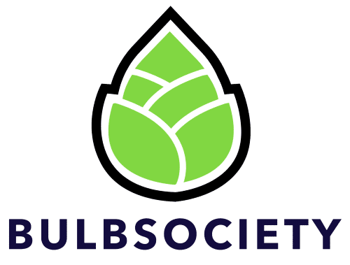logo bulb1